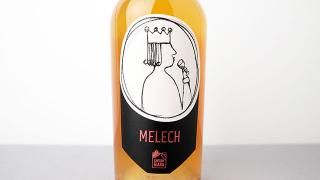 [4000] MELECH 2023 CANTINA GIARA / 륯 2023 ƥʡ