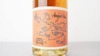 [2320] Mesas Muscat blanc 2024 Angus Paul / ᥵ޥåȥ֥󡦥󥳥󥿥 2024 󥬥ݡ
