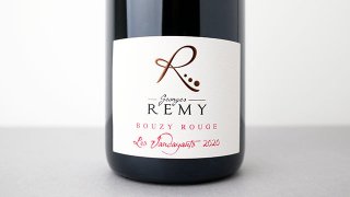 [ͭ] Bouzy rouge Les Vaudayants 2020 GEORGES REMY / ֥롼 졦 2020 른塦