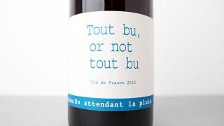 [2960] TOUT BU OR NOT TOUT BU 2022 EN ATTENDANT LA PLUIE / ȥӥ塦Υåȡȥӥ 2022 ʥɥ󡦥顦ץ奤