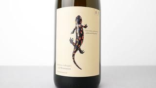 [ͭ] SALAMANDER 2022 ANDREAS TSCHEPPE / ޥ (ȥ) 2022 ɥ쥢ĥå