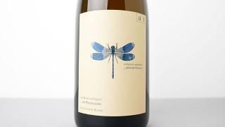 [ͭ] BLUE LIBELLE PLUS 2022 ANDREAS TSCHEPPE / ֥٥롡ץ饹 (ĥȥ) 2022 ɥ쥢ĥå