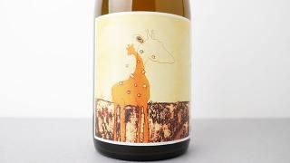 [3080] Tangerine Dream 2023 SMALLFRY WINES / 󥸥󡦥ɥ꡼ 2023 ⡼ե饤