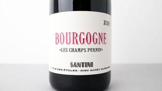 [4800] Bourgogne Cote Chalonnais Les Champs Pernin 2023 SANTINI COLLECTIVE