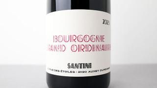 [4320] Bourgogne Grand Ordinaire 2023 SANTINI COLLECTIVE / ֥르˥塦󡦥ǥ͡ 2023 ƥˡ쥯ƥ