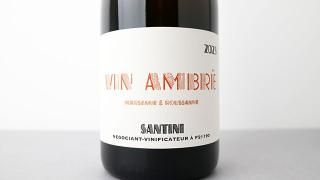 [4320] Vin Ambre 2023 SANTINI COLLECTIVE / 󡦥֥ 2023 ƥˡ쥯ƥ