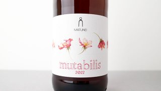 [2560] Mutabilis 2022 Matunei / ॿӥꥹ 2022 ޥȥͥ