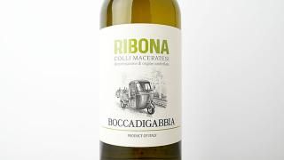 [2080] Ribona 2023 Boccadigabbia / ܡ 2023 ܥåǥåӥ