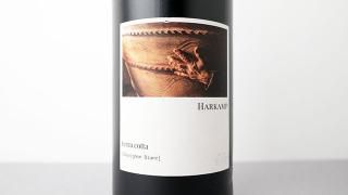[5840] Sauvignon Blanc terra cotta 2021 Harkamp / ˥󡦥֥ ƥå饳å 2021 ϡ