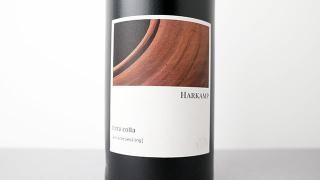 [5440] Welschriesling terra cotta 2021 Harkamp / 륷꡼ ƥå饳å 2021 ϡ