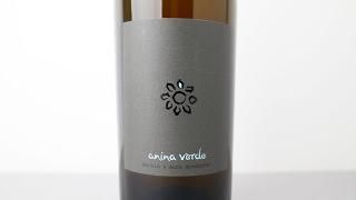 [3360] anina verde 2023 Martin & Anna Arndorfer / ˡʡ 2023 ޡƥʡɥե