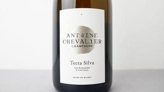[11200] Tecta Silva 2020 Antoine Chevalier / ƥ 2020 ȥ̡ꥨ