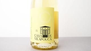 [2160] Disco Voador ESCOLHA 2022 Caminho de Vila Pouca / ܥɡ롦 2022 ǡ顦ݥ