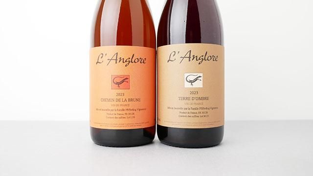 レビュー高評価のおせち贈り物 Terre ラング 2023 テール・ドンブレ / L'ANGLORE 2023 d'ombre ワイン