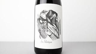 L'ANGLORE - ナチュラルワイン(自然派ワイン・ビオワイン)を日本 L'ANGLORE - ナチュラルワイン(自然派ワイン・ビオワイン)を日本
