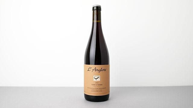 Terre d'ombre 2022 L'ANGLORE / テール・ドンブレ 2022 ラング