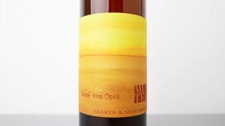 Rose vom Opok 2021 Maria & Sepp Muster / եࡦݥ 2021 ޥꥢȡåסॹ