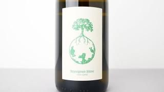 SAUVIGNON BLANC VOM OPOK 2021 WERLITSCH / ˥֥󡦥ե󡦥ݥå 2021 å