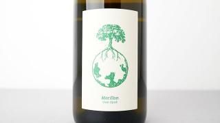 MORILLON VOM OPOK 2021 WERLITSCH / 󡦥ե󡦥ݥå 2021 å