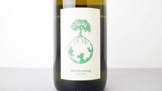 WELSCHRIESLING VOM OPOK 2021 WERLITSCH / 륷꡼󥰡ե󡦥ݥå 2021 å