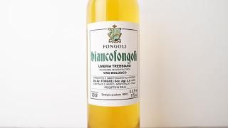 [2240] Bianco Fongoli 2022 Fongoli / ӥ󥳡ե󥴥 2022 ե󥴥