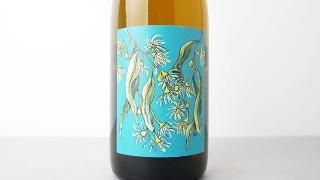 [4500] SAVAGNIN 2021 BORACHIO / ˥ 2021 ܥ顼