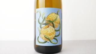 [4500] CARBONIC CHARDONNAY 2022 BORACHIO / ܥ˥å ɥ 2022 ܥ顼