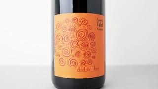 [2880] Beaujolais Village Electron Libre 2023 Romuald Valot / ܡ졦顼 쥯ȥ ꡼֥ 2023