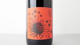 [2880] Beaujolais Village 2023 Romuald Valot / ܡ졦顼 2023 ߥ奢ɡ