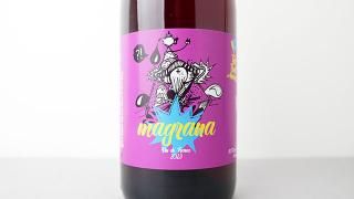 [3200] Magrana 2023 Tutti Frutti Ananas / ޥ 2023 ȥƥեåƥʥʥ