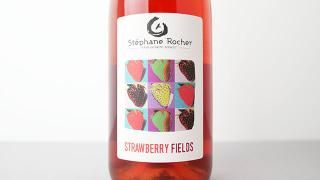 [3120] Strawberry Fields 2022 La Ferme de Mont Benault / ȥ٥꡼ե 2022 롦եࡦɡ󡦥֥Ρ