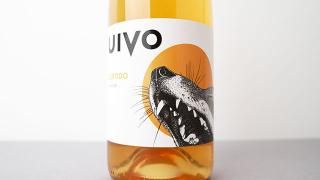 [2880] UIVO CURTIDO 2023 FOLIAS DE BACO / ƥ 2023 եꥢǡХ