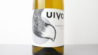 [2560] UIVO RABIGATO 2023 FOLIAS DE BACO / ӥ 2023 եꥢǡХ