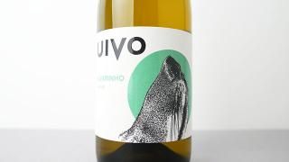 [2560] UIVO ALVARINHO 2023 FOLIAS DE BACO / ꡼˥ 2023 եꥢǡХ