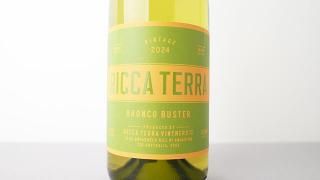 [1920] Bronco Buster 2024 Ricca Terra / ֥󥳡Х 2024 åƥå
