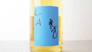 [3120] LAU Weiss 2023 Hannes / 饦 2023 ϡͥ
饦