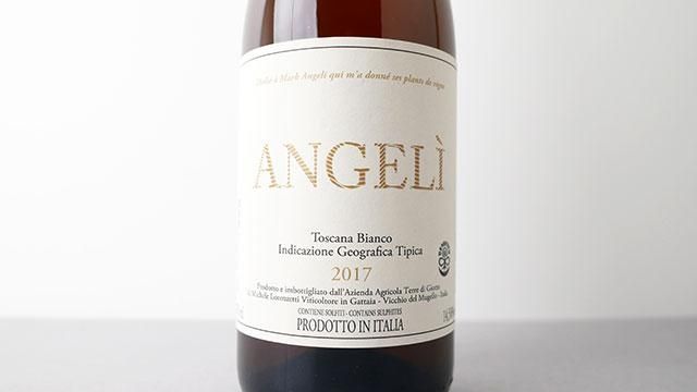 ジャン・メッツァンジェ、「NATURE MORTE」、海外版超希少レゾネ ジャン・メッツァンジェ、「NATURE MORTE」、海外版超希少レゾネ