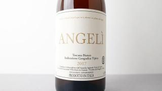 [8000] Angeli 2017 MICHELE LORENZETTI / 󥸥 2017 ߥ졦ĥåƥ