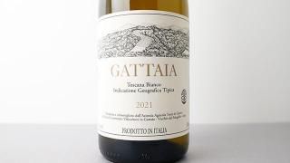 [4240] Gattaia Bianco 2021 MICHELE LORENZETTI / å ӥ 2021 ߥ졦ĥåƥ