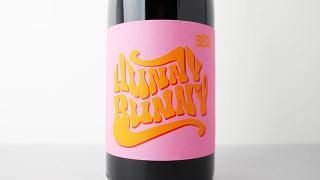 [2880] Hunny Bunny 2023 Judith Beck / ϥˡ Хˡ 2023 桼ǥȡ٥å