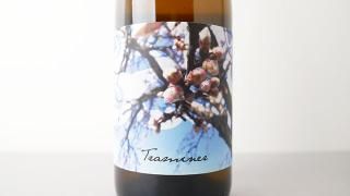 [3040] Traminer 2023 Judith Beck / ȥߡʡ 2023 桼ǥȡ٥å
