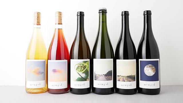 7040] Analogue No.8 2022 Wenzel / アナログ No.8 2022 ヴェンツェル