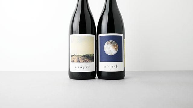 7040] Analogue No.8 2022 Wenzel / アナログ No.8 2022 ヴェンツェル