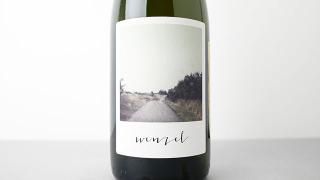 [7040] Analogue No.8 2022 Wenzel / ʥ No.8 2022 ĥ