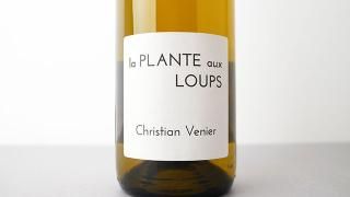 [3600] La Plante aux Loups 2023 Christian Venier / 顦ץȡ롼 2023 ꥹ󡦥˥