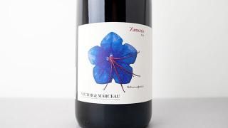 [4960] Zamenis 2023 Victor et Marceau / ˥ 2023 ȡ롦ޥ륽