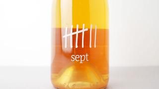 [W]5520] Skin Contact Obeideh 2022 Sept Winery / 󡦥󥿥ȡ٥ 2022 ץȡ磻ʥ꡼