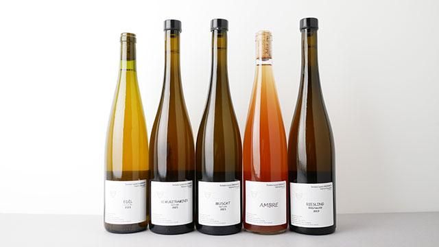 ピノ・ノワール 2019 Laurent Bannwarth 750ml Laurent Bannwarth Pinot Noir, Alsace, France | prices