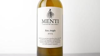 [2640] Riva Arsiglia 2023 Menti / ꡼륷ꥢ 2023 ƥ