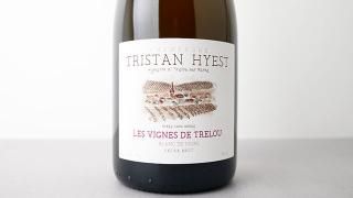 [7040] Les Vignes de Trelou (B2019) TRISTAN HYEST / 졦˥塦ɡȥ롼 (B2019) ȥꥹ󡦥